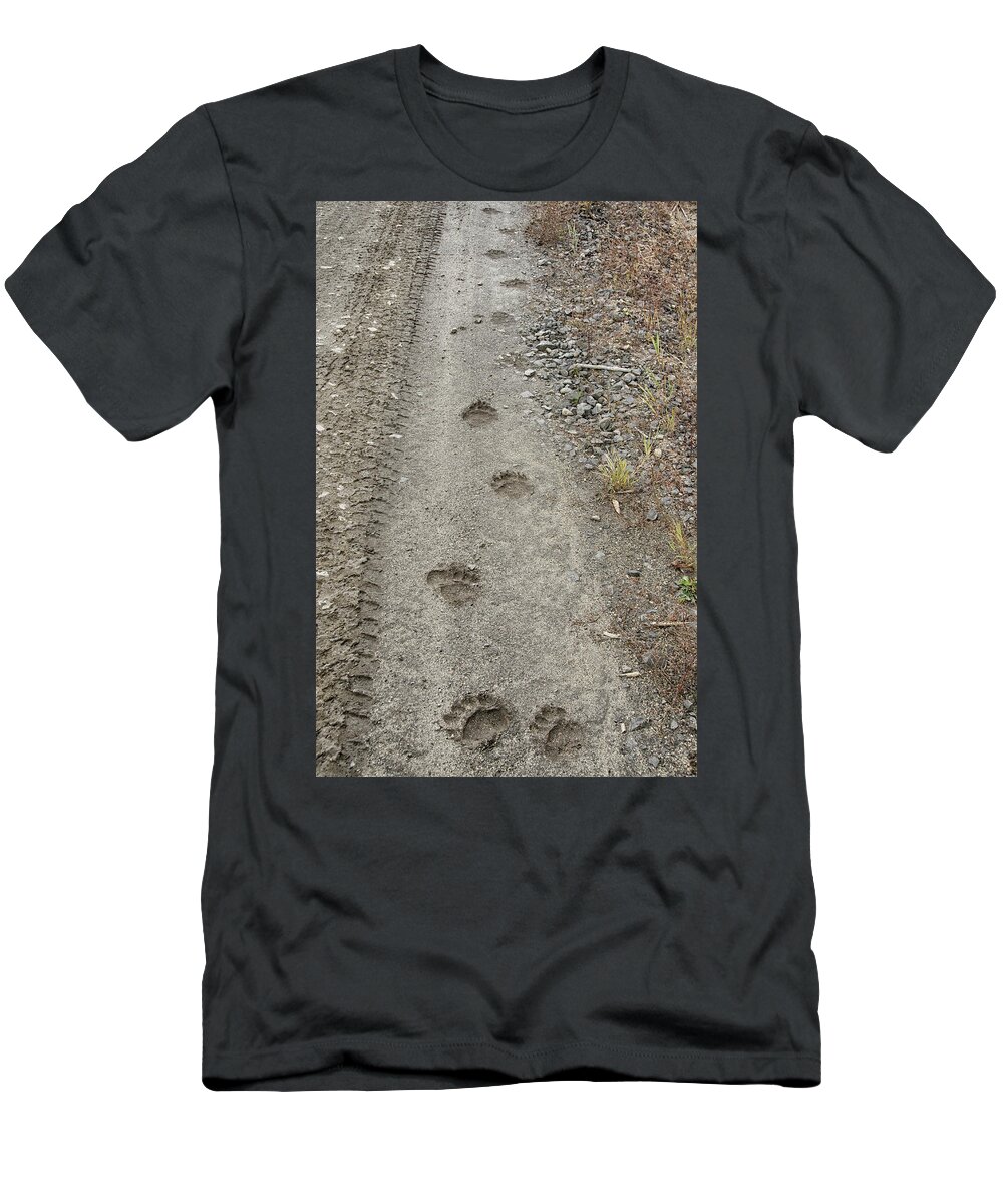 Bear T-Shirt featuring the photograph Bear Tracks by Debra Baldwin