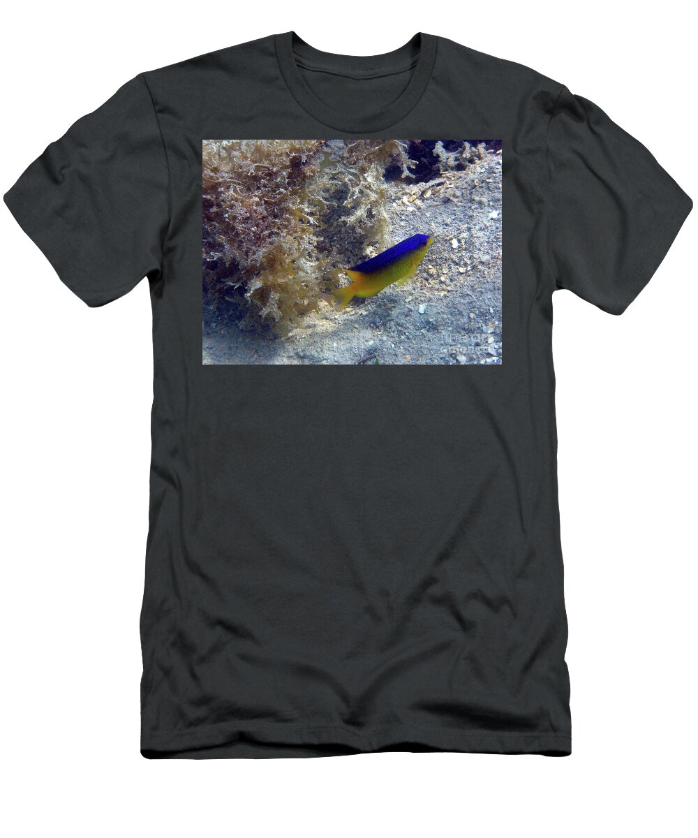 St Thomas Beautiful Sea Life T-Shirt featuring the photograph St Thomas Beautiful Sealife by Barbra Telfer