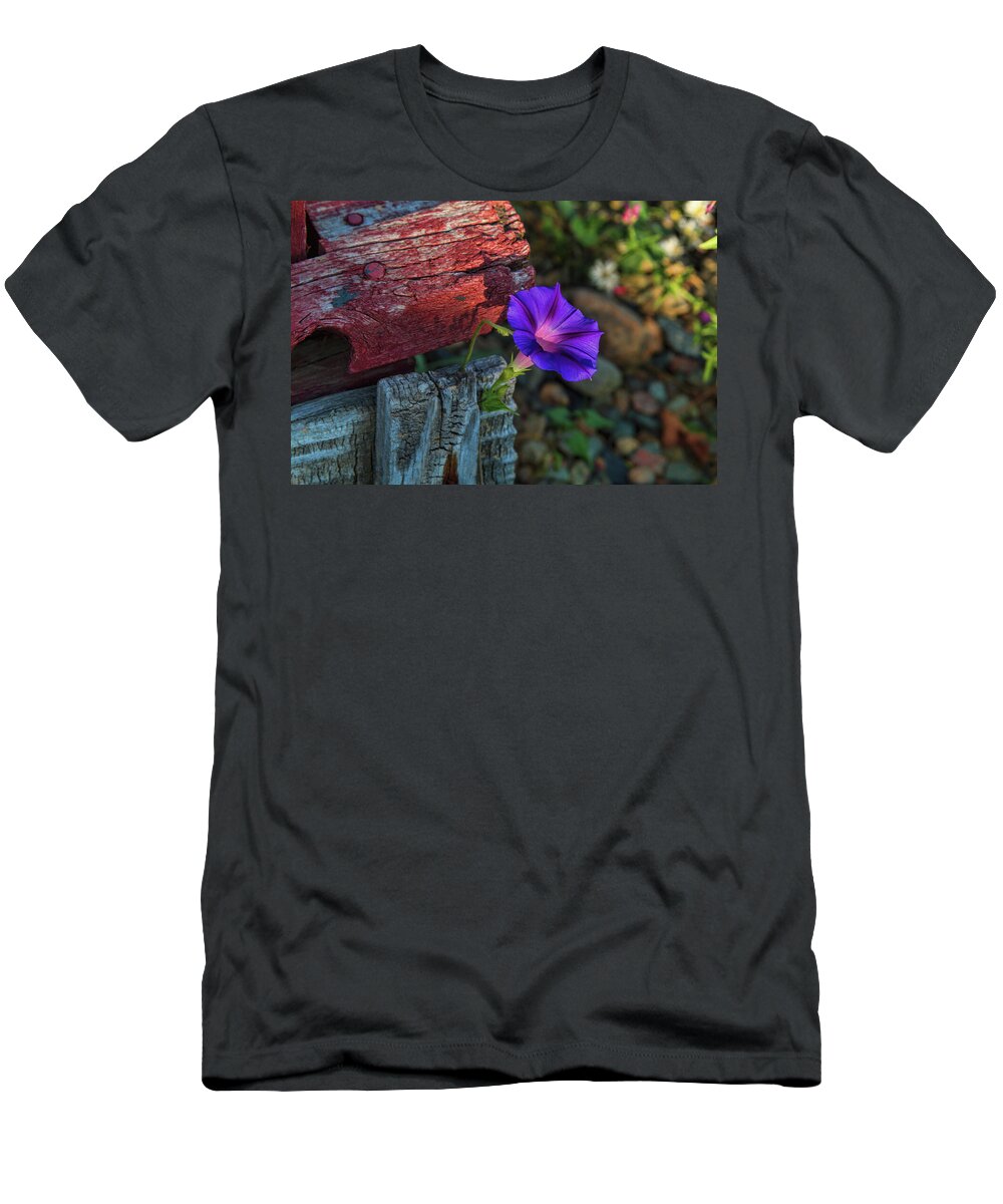 Morning Glory T-Shirt featuring the photograph Beautify by Alana Thrower