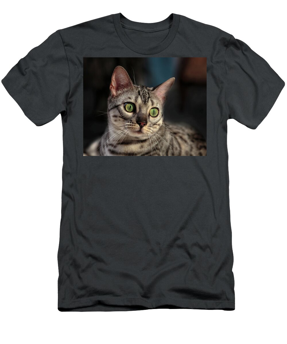 Bengal Beauty T-Shirt featuring the photograph Bengal Beauty by Wes and Dotty Weber