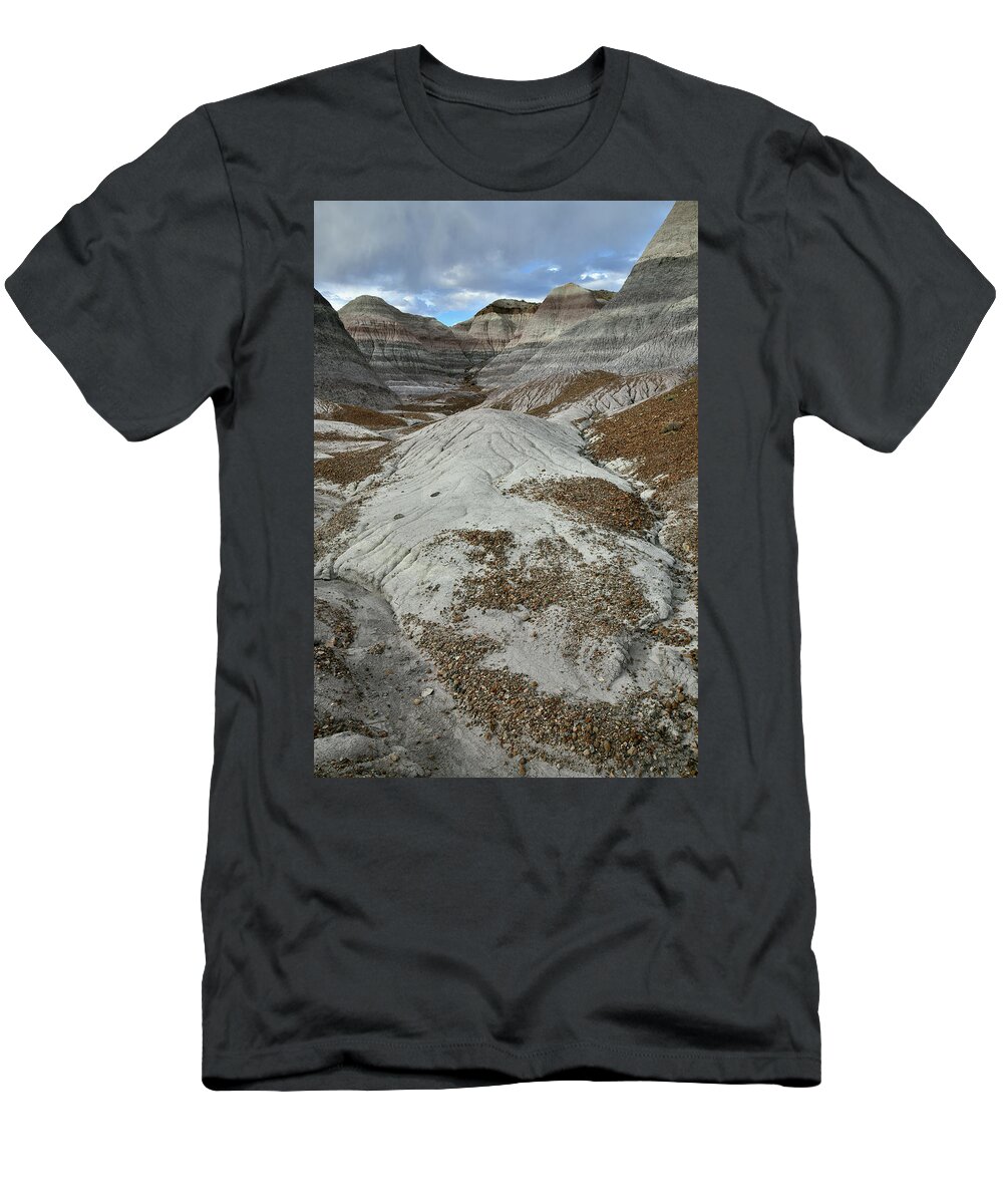 Petrified Forest National Park T-Shirt featuring the photograph Bentonite Dunes of Blue Mesa by Ray Mathis