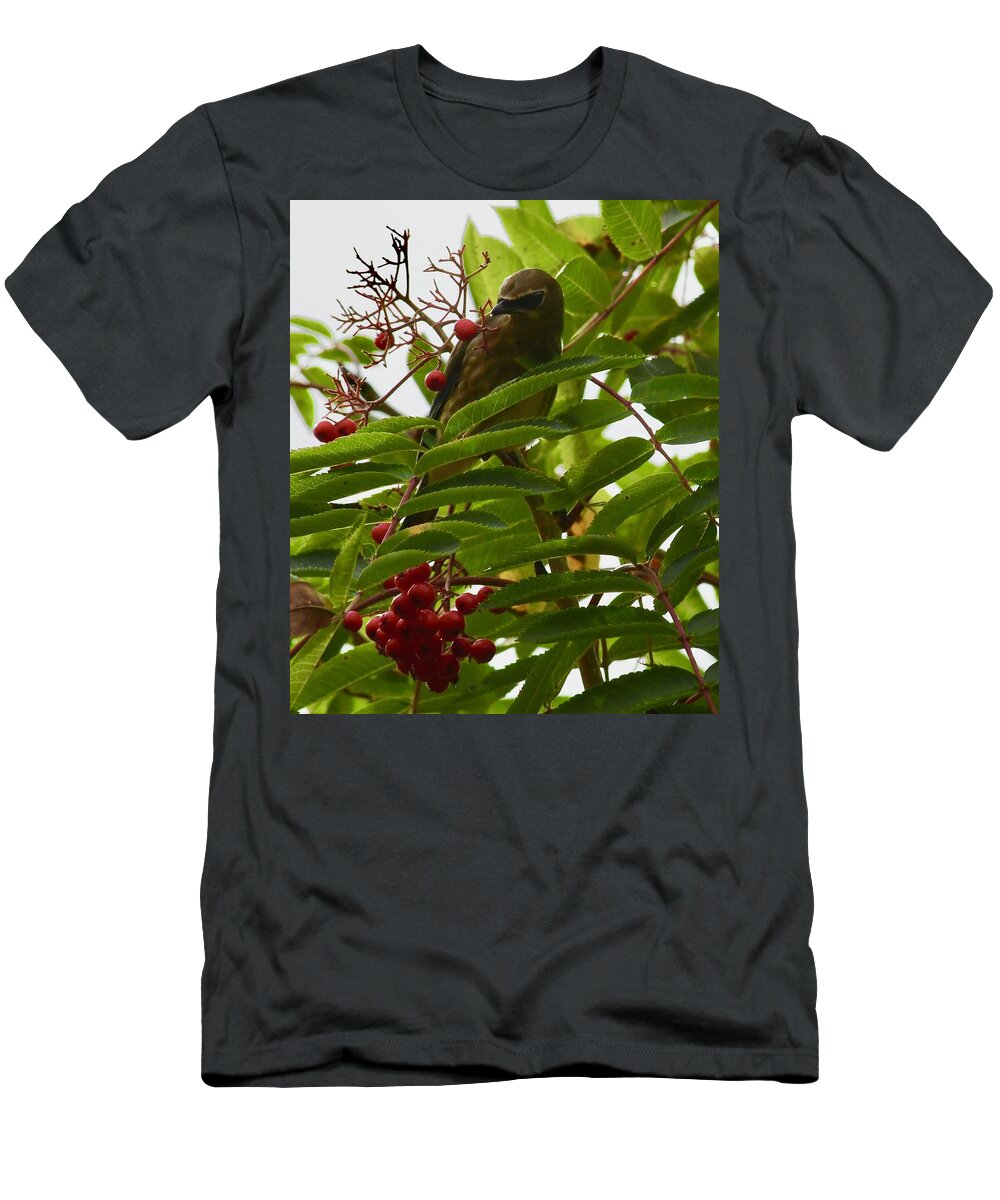 Birds T-Shirt featuring the photograph Berries and Waxwing by Hella Buchheim