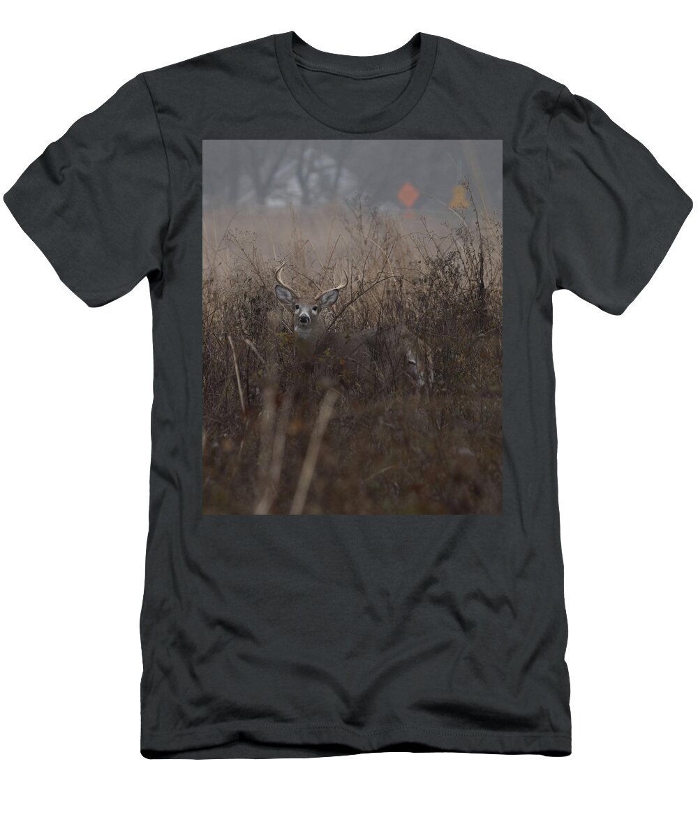 Animal T-Shirt featuring the photograph Big Buck by Paul Ross