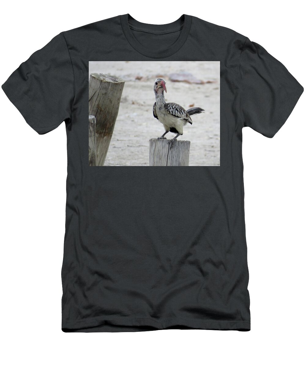 Bird T-Shirt featuring the photograph Bird by Eric Pengelly