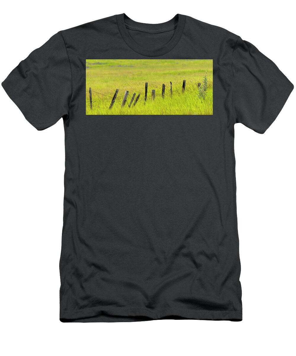 2019-07-28 T-Shirt featuring the photograph Bird on Old Barbed Wire Fence by Phil And Karen Rispin