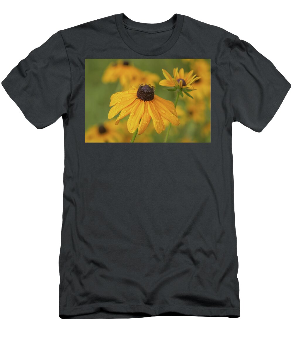 Black-eyed Susans T-Shirt featuring the photograph Black-Eyed Susans by Dale Kincaid
