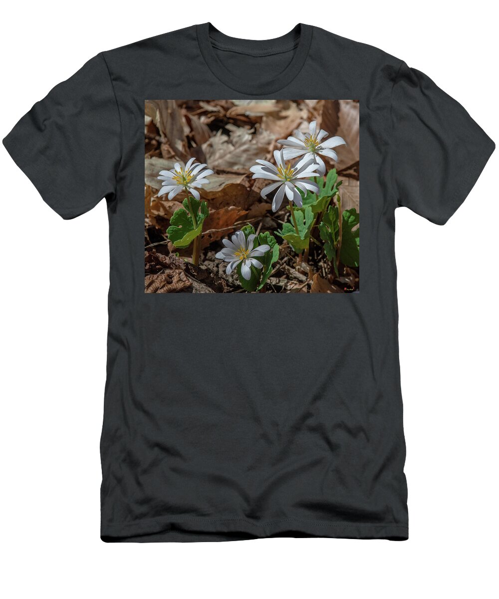 Nature T-Shirt featuring the photograph Bloodroot DFL0939 by Gerry Gantt