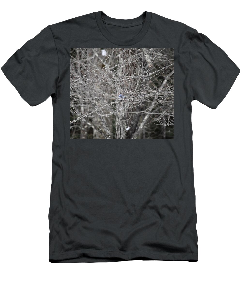 Bird T-Shirt featuring the photograph Blue Jay in a Tree by Hella Buchheim