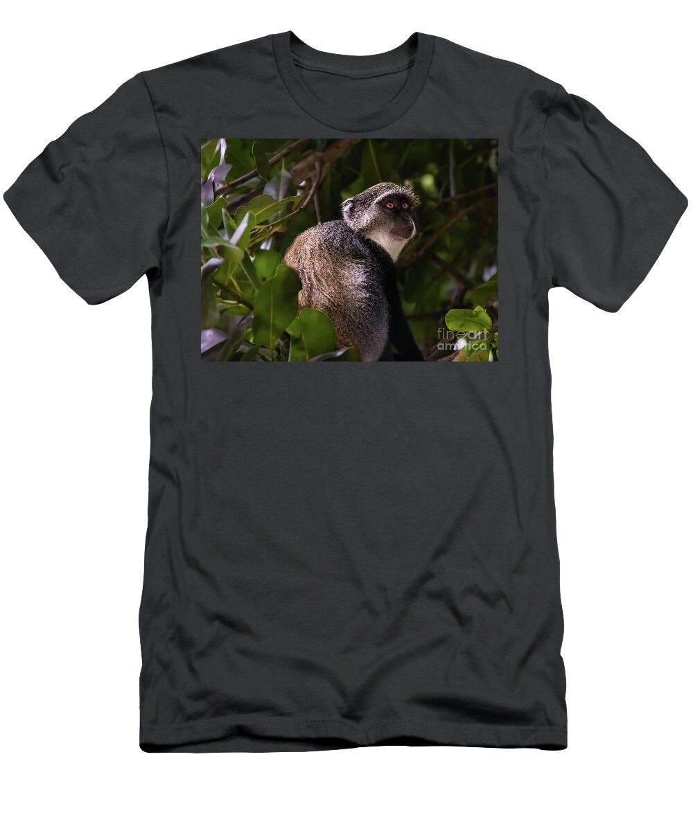 Monkey T-Shirt featuring the photograph Blue monkey, Zanzibar by Lyl Dil Creations