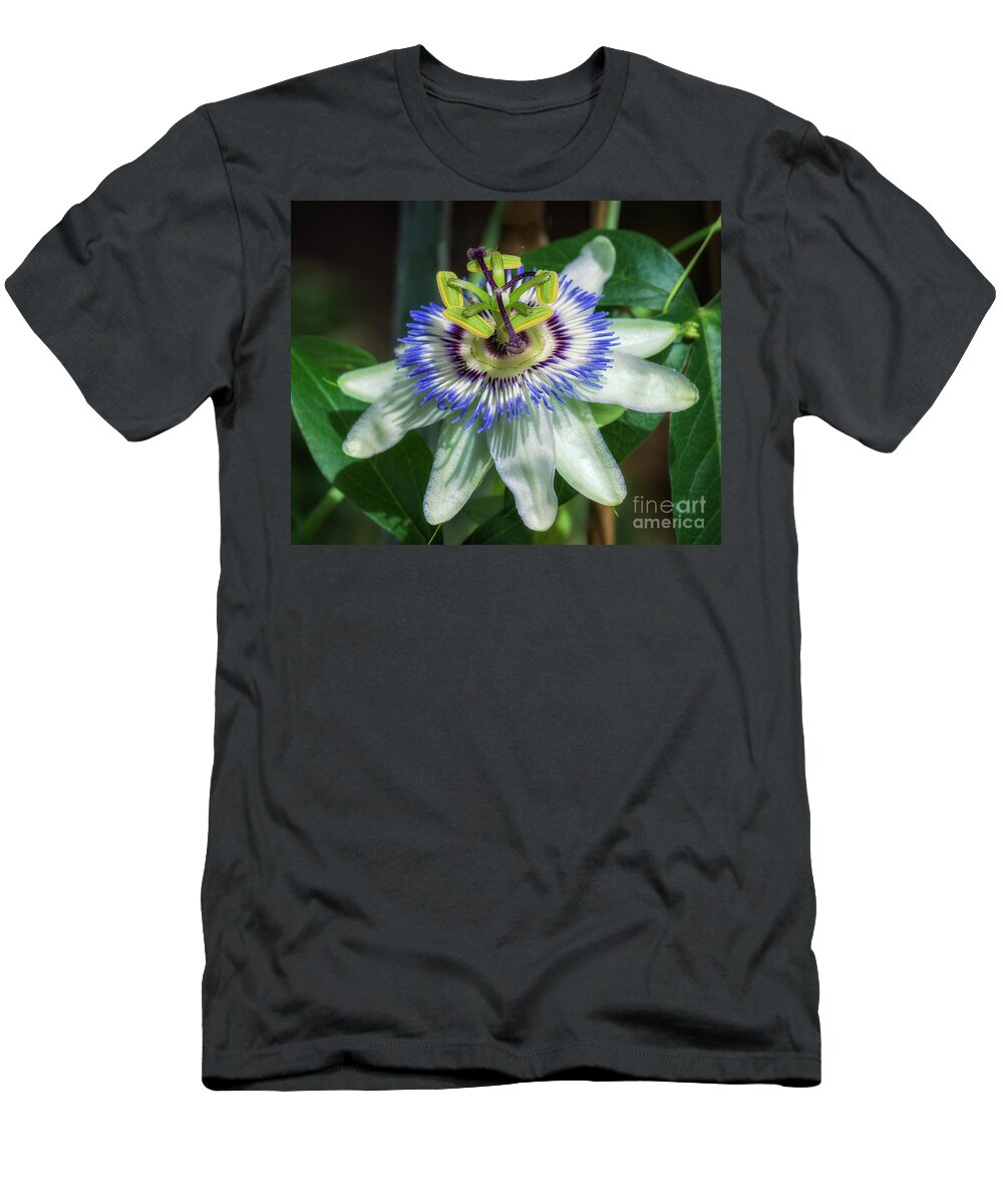 Blue Passion Flower T-Shirt featuring the photograph Blue Passion Flower by Priscilla Burgers