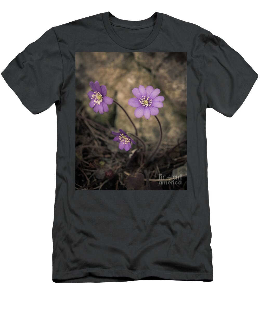 Common T-Shirt featuring the photograph Blue violet anemone flower growing in a stone wall by Amanda Mohler