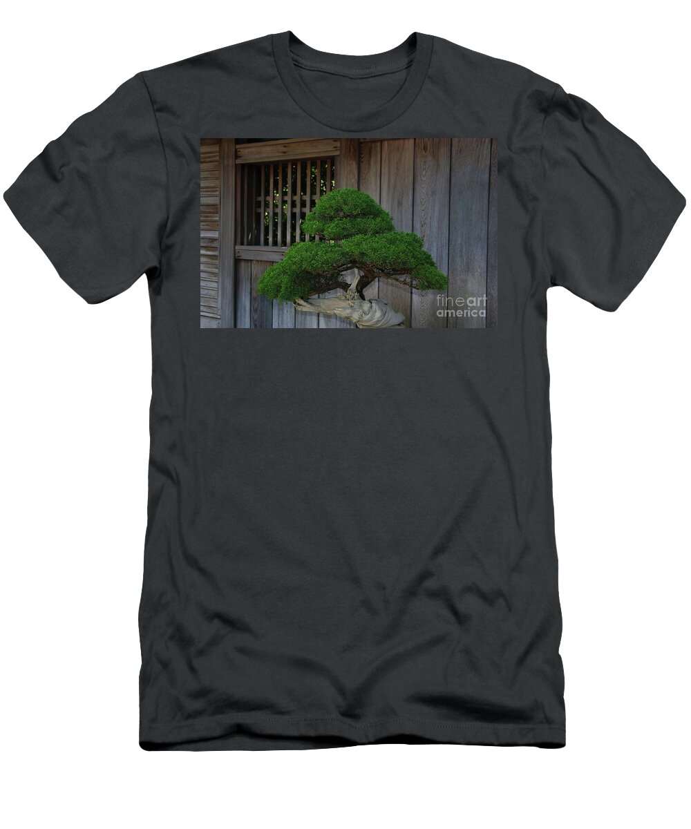 Bonsai Tree T-Shirt featuring the photograph Bonsai Beauty by Terri Brewster