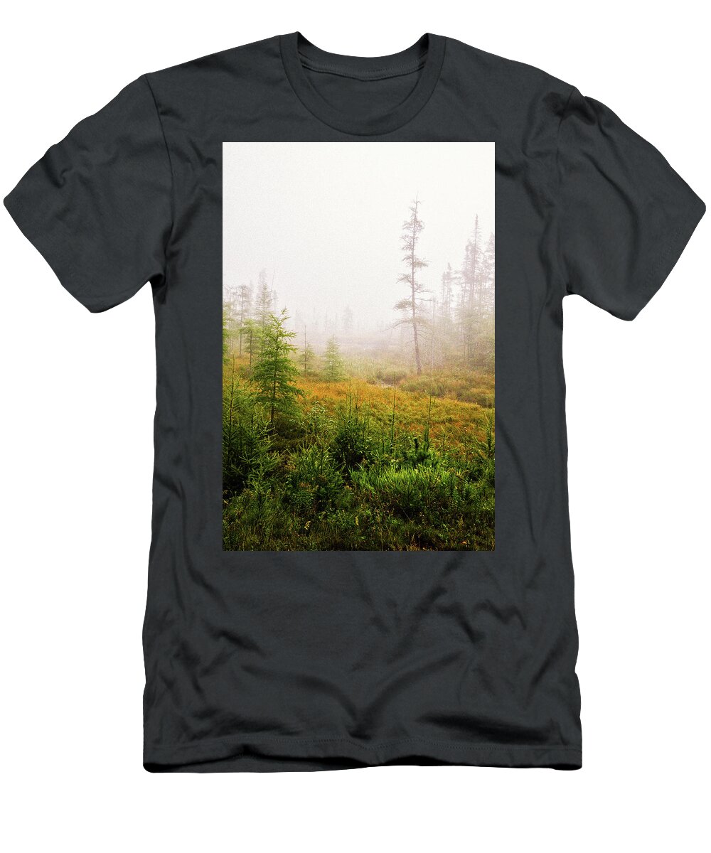 Autumn T-Shirt featuring the photograph Boreal On County Road 7 by Cynthia Dickinson