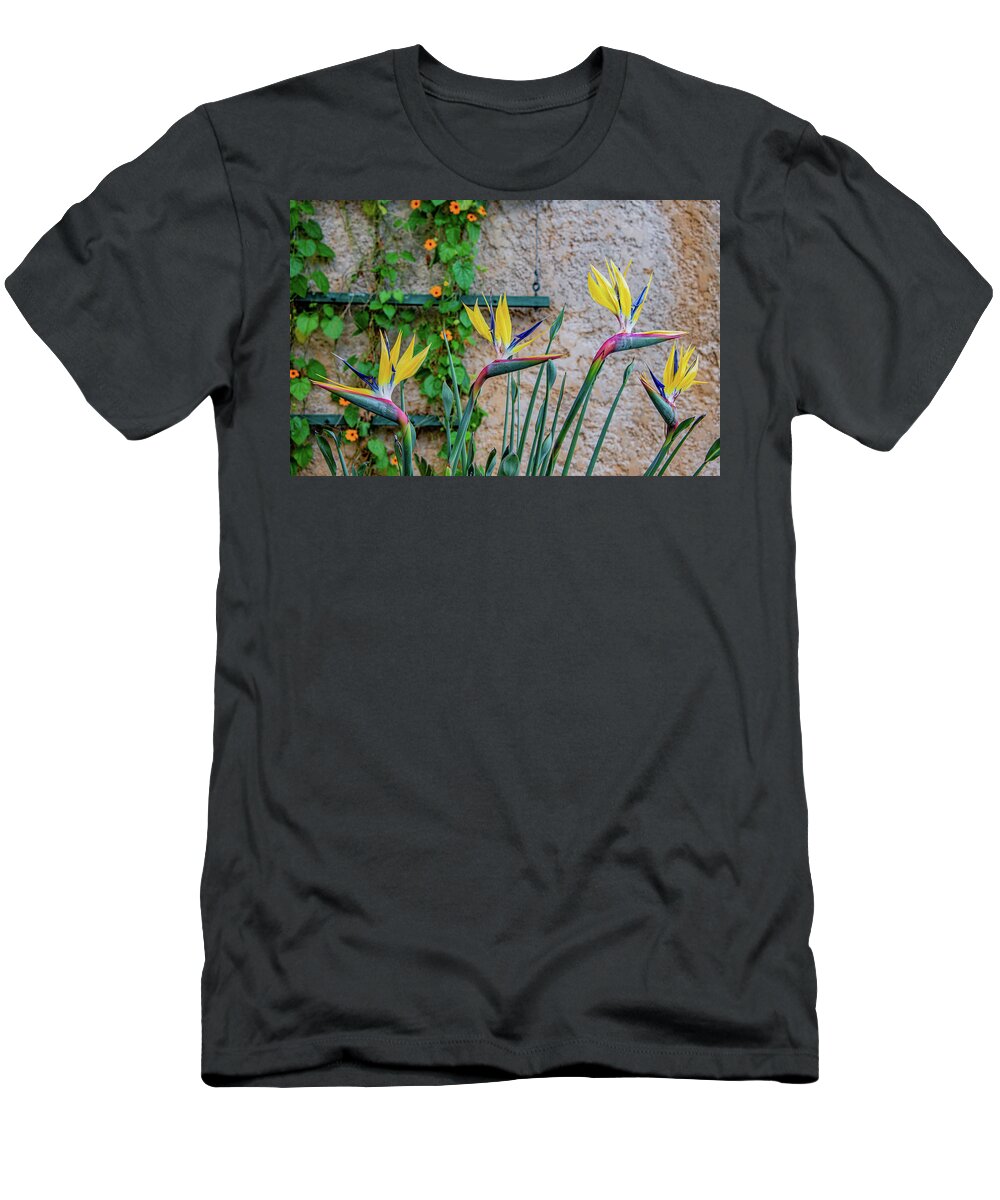 Bird Of Paradise T-Shirt featuring the photograph Botanical Art by Marcy Wielfaert