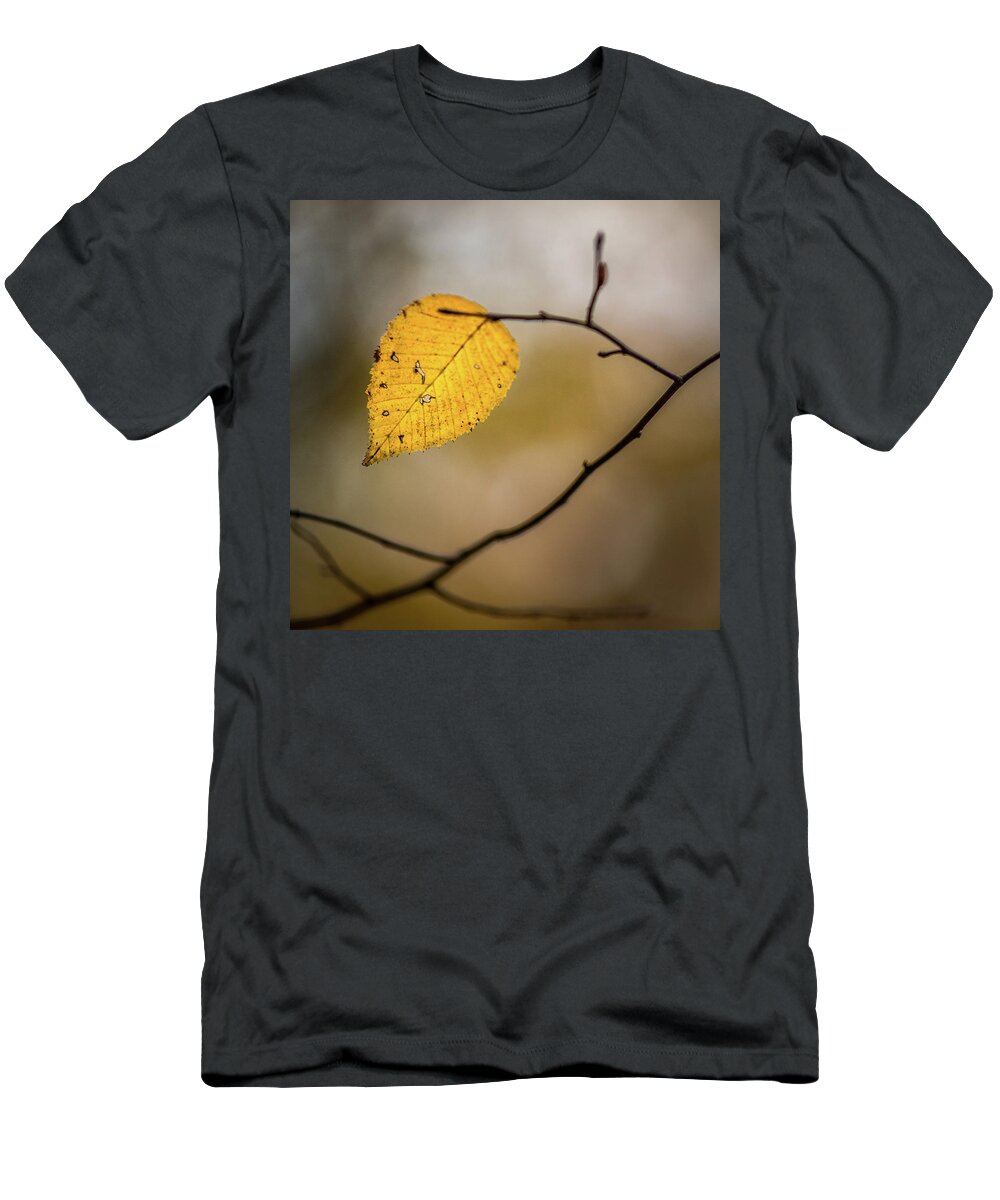 Fall T-Shirt featuring the photograph Bright Fall Leaf 8 by Michael Arend
