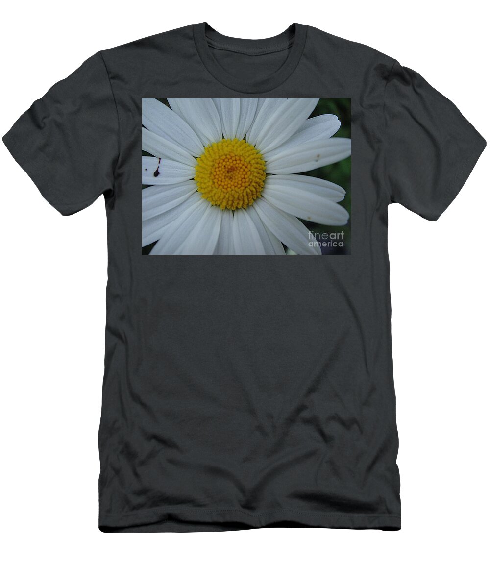 Flower T-Shirt featuring the photograph Bright flower by Karin Ravasio