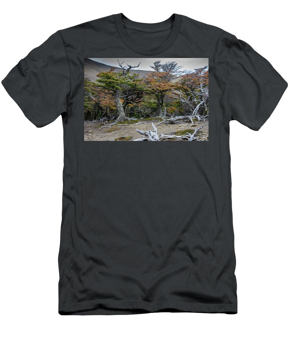 Lenga T-Shirt featuring the photograph Broken Forest by Mark Hunter