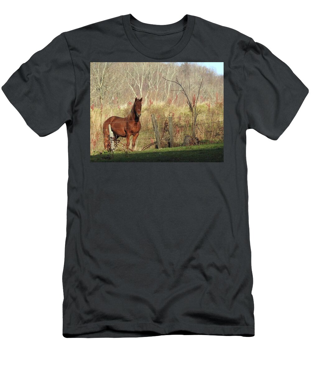 Horse T-Shirt featuring the photograph Brown Beauty by Kathy Ozzard Chism