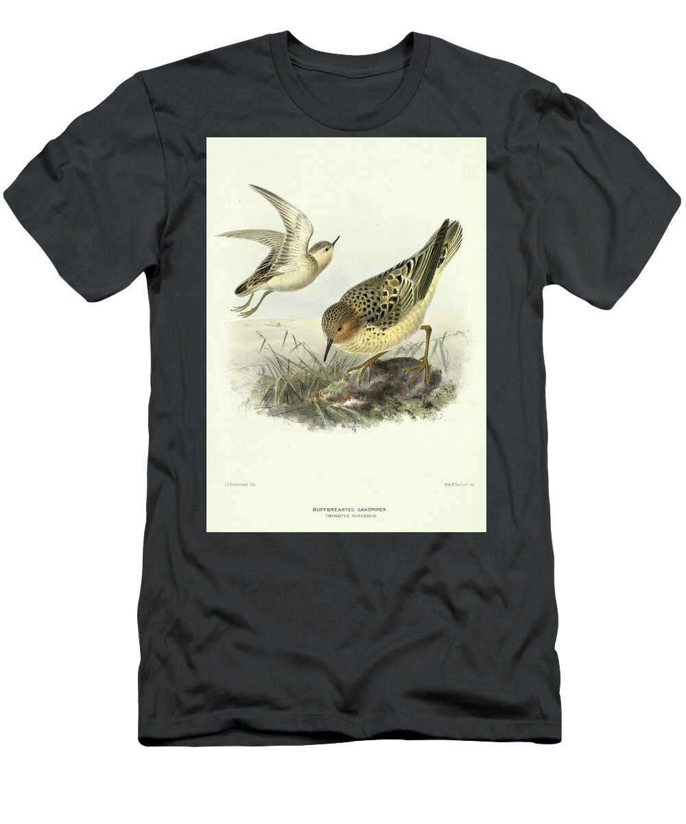 Buff-breasted Sandpiper T-Shirt featuring the painting Buff-breasted sandpiper by Henry Eeles Dresser