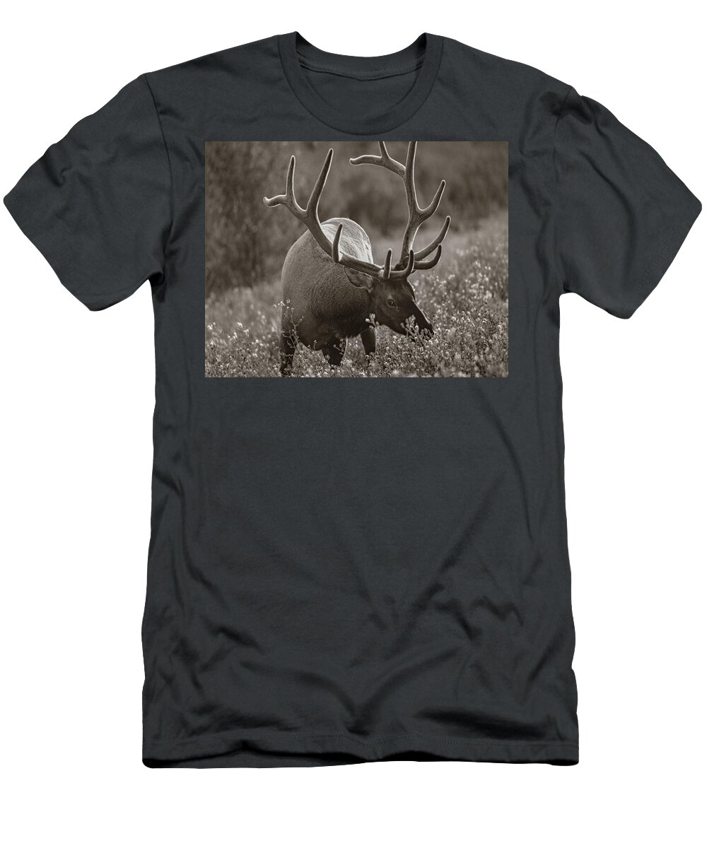 Disk1215 T-Shirt featuring the photograph Bull Elk In Banff National Park by Tim Fitzharris