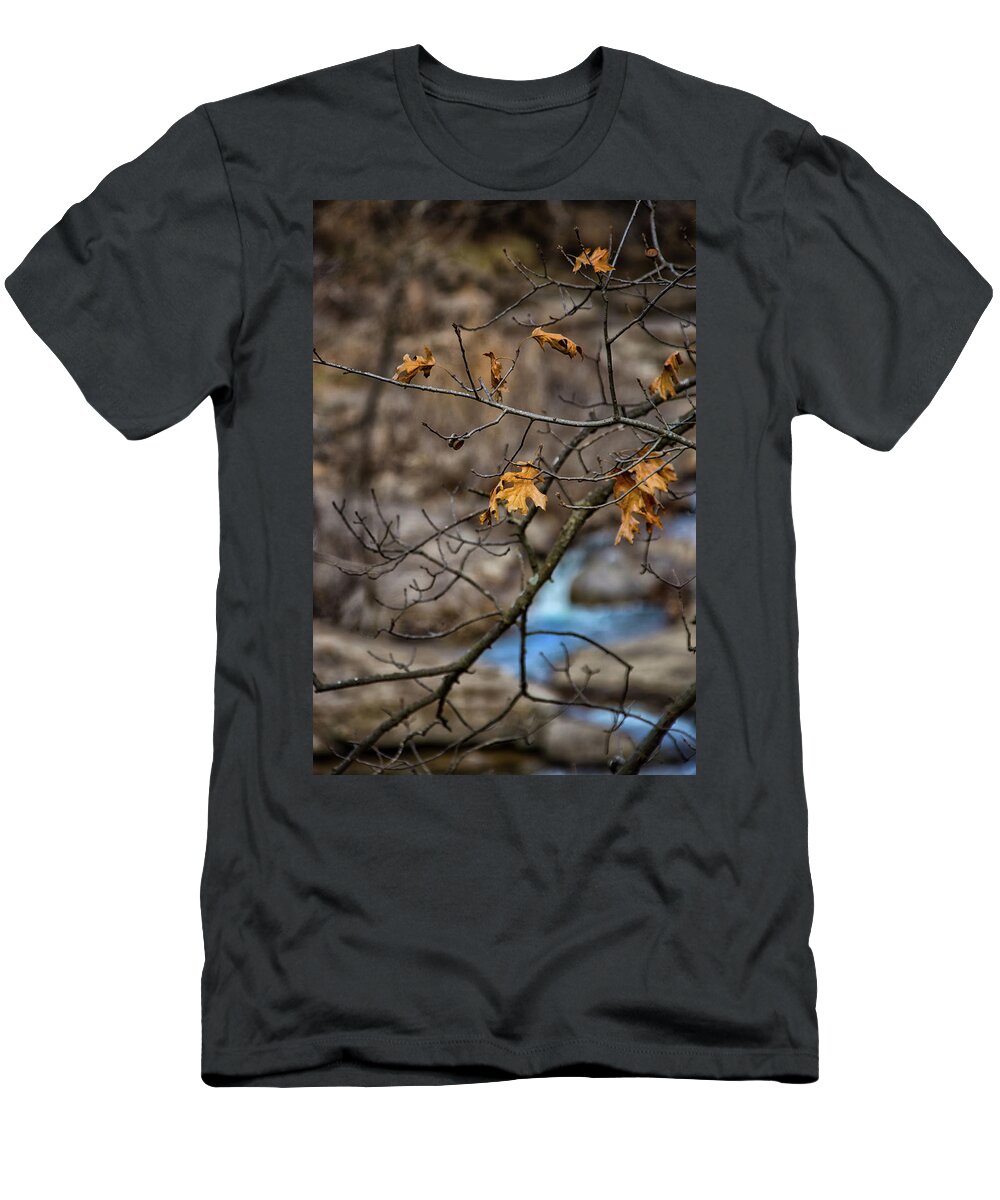Butcher Falls T-Shirt featuring the photograph Butcher Falls' Leaves by Jolynn Reed