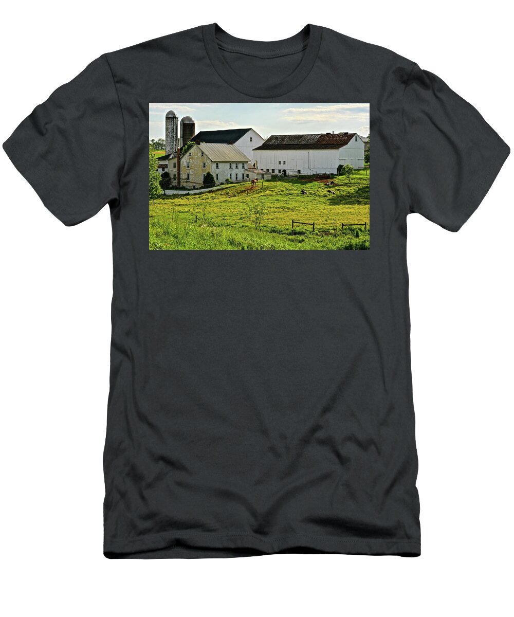 Amish T-Shirt featuring the photograph Buttercup Meadow by Tana Reiff