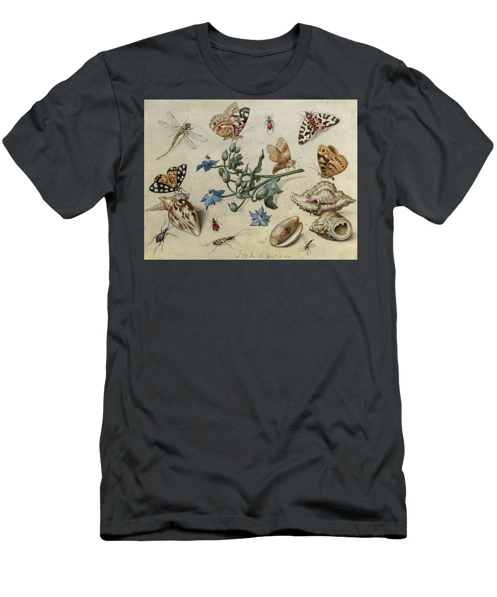Jan Van Kessel The Elder T-Shirt featuring the photograph Butterflies, clams, insects by Jan van Kessel the Elder