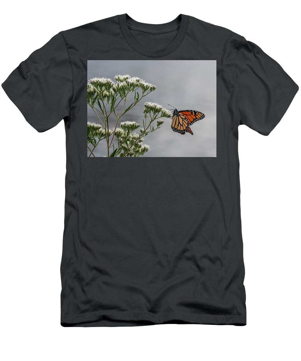 T-Shirt featuring the photograph Butterfly by Kristine Hinrichs
