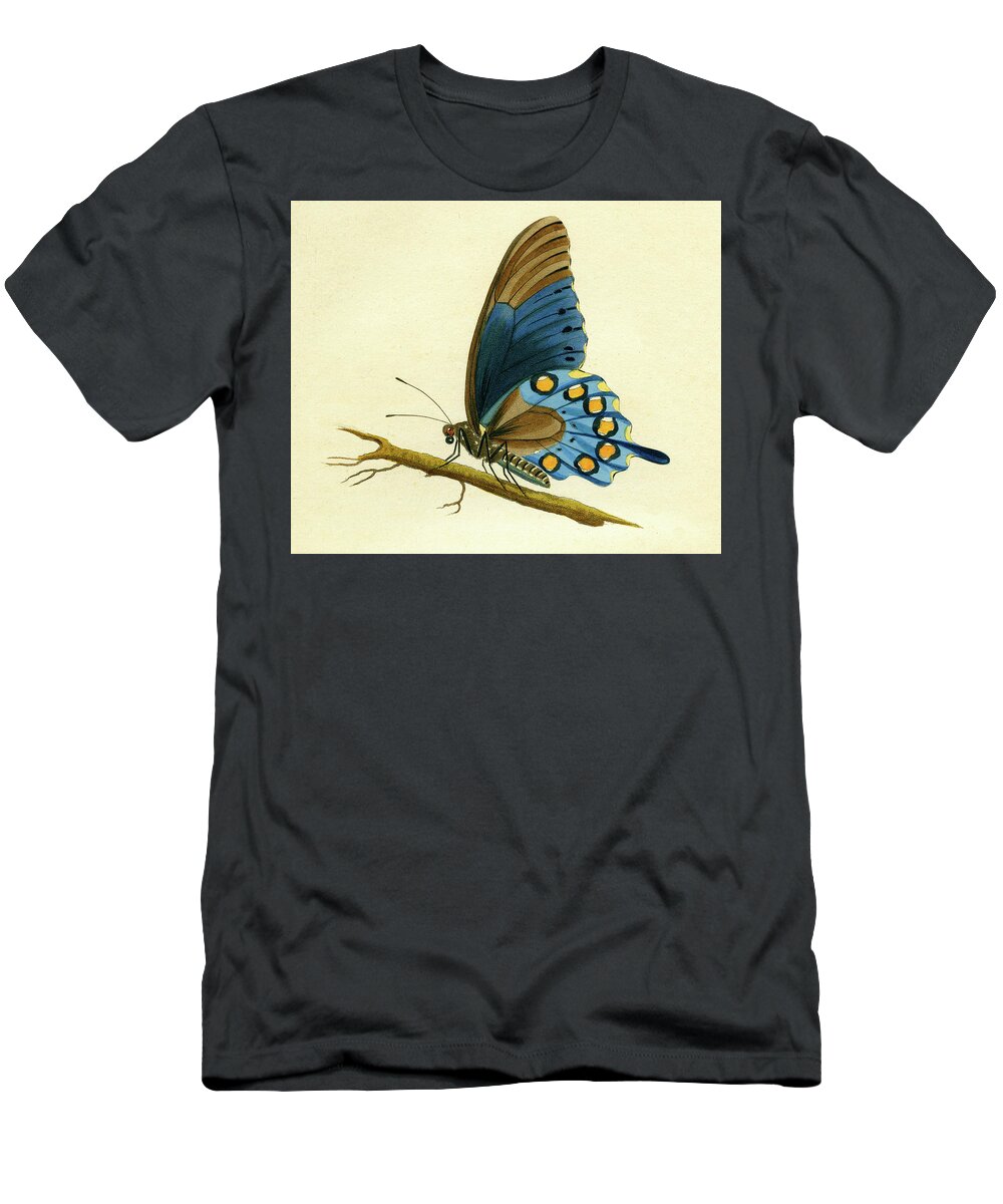 Entomology T-Shirt featuring the mixed media butterfy detail - Papilio Philenor by Unknown