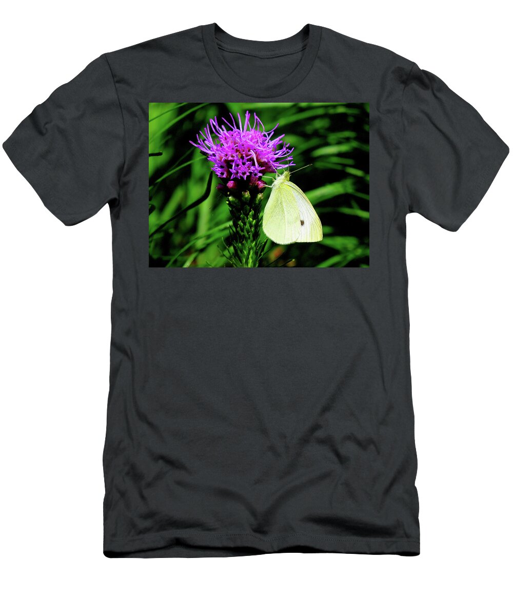 Cabbage White Butterfly T-Shirt featuring the photograph Cabbage White and Purple by Linda Stern