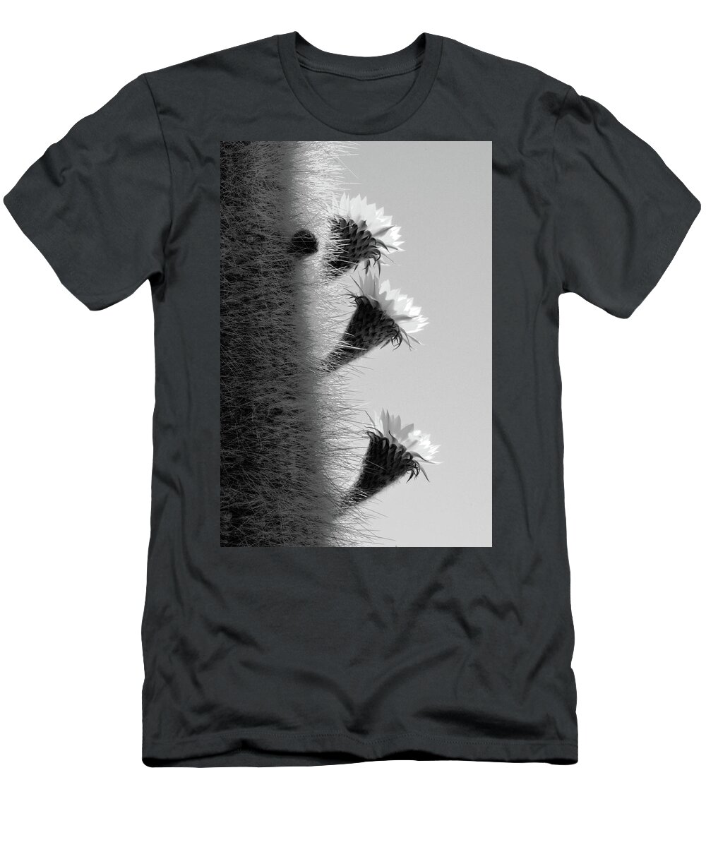 Cactus Flower T-Shirt featuring the photograph Cactus Flowers by Bill Cain