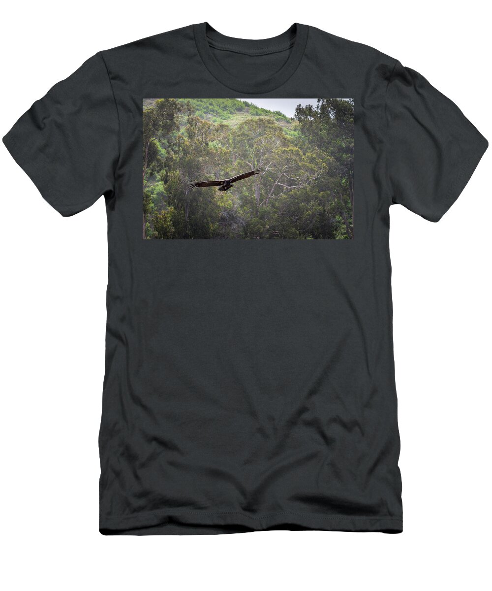 Animal T-Shirt featuring the photograph California Condor in Flight II Color by David Gordon