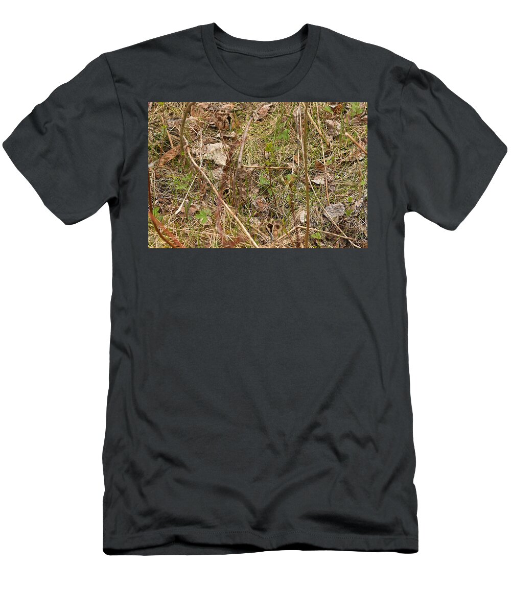 American Woodcock T-Shirt featuring the photograph Camouflage x 3 by Asbed Iskedjian