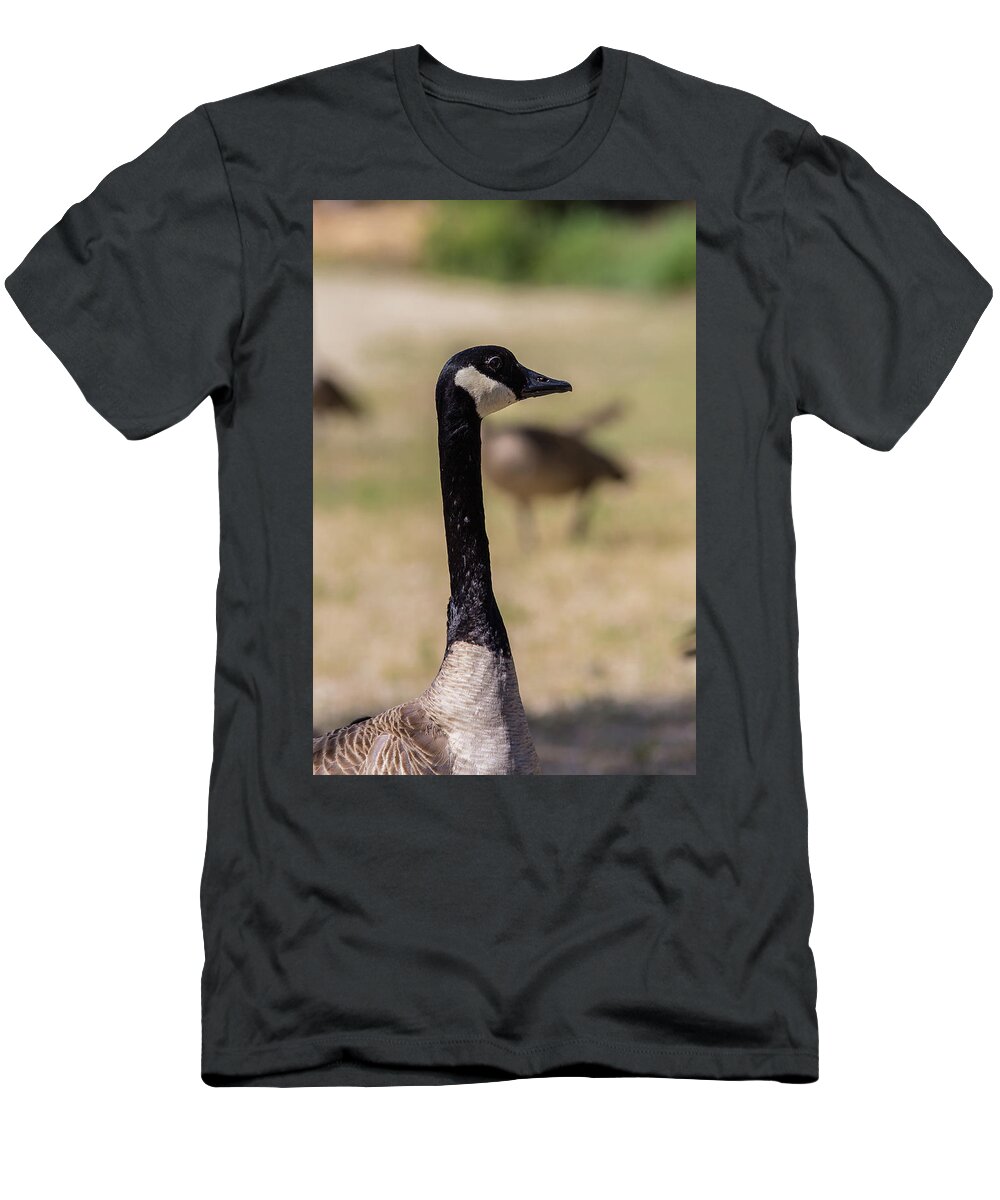 Canadian Goose T-Shirt featuring the photograph Canadian Goose by Julieta Belmont