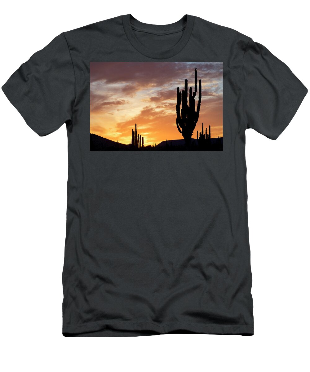 Estock T-Shirt featuring the digital art Cardon Cactus, Baja California, Mexico by Natalino Russo