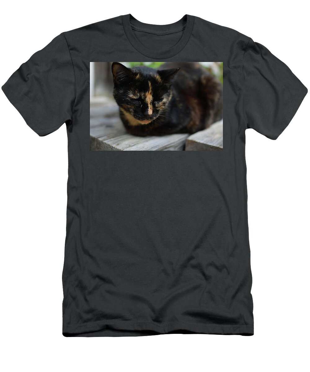 #黒猫#猫#ぬこ#奈良#寺# T-Shirt featuring the photograph cat by Kenya Suzuki