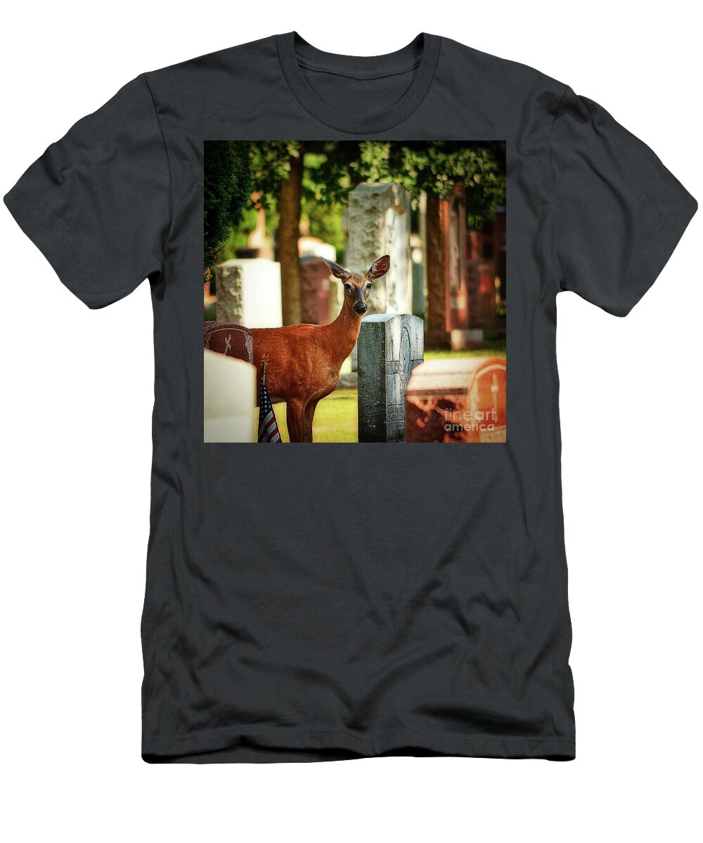 New York T-Shirt featuring the photograph Cemetery Deer by Lenore Locken