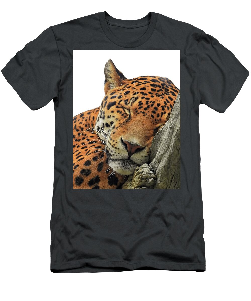 Cheetah T-Shirt featuring the photograph Cheetah Napping by Jennifer Wheatley Wolf