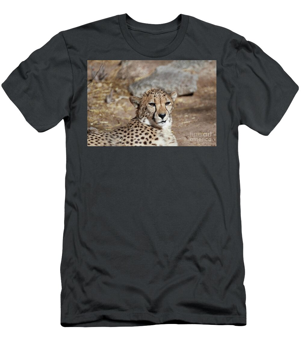 Cat T-Shirt featuring the photograph Cheetah Portrait by Robert WK Clark