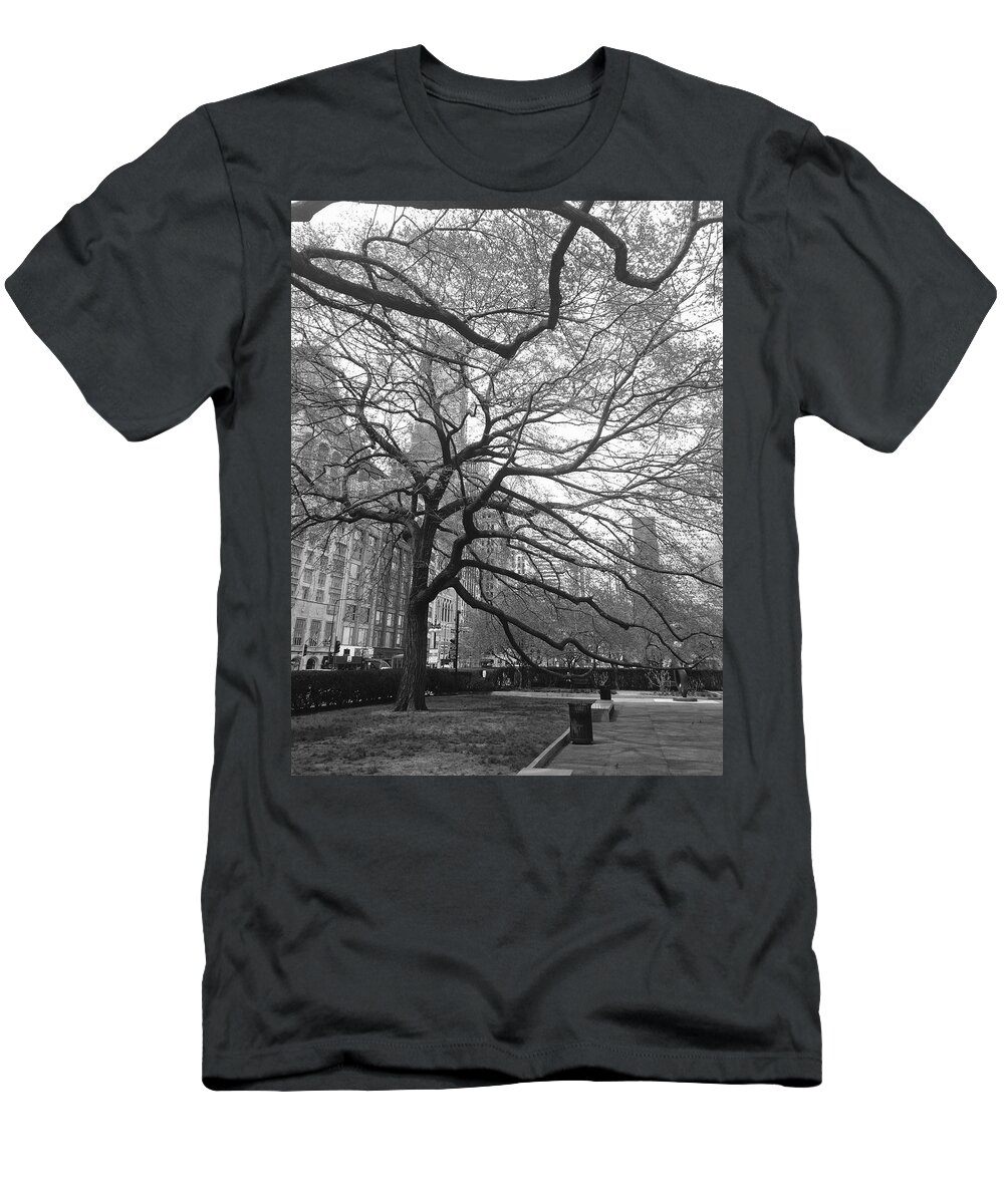 Trees T-Shirt featuring the photograph Chicago Treescape by Marty Klar