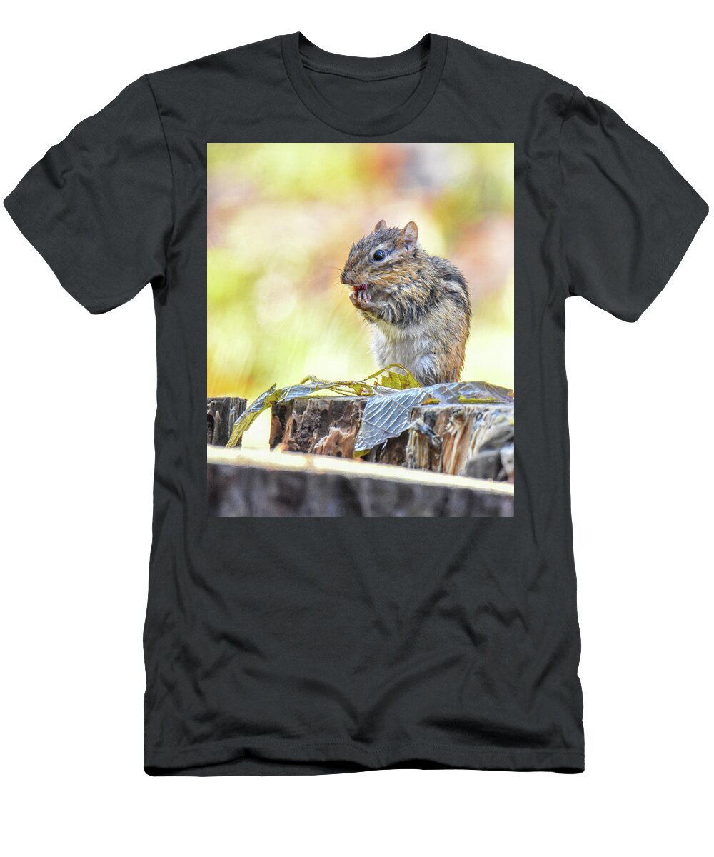 Chipmunk T-Shirt featuring the photograph Chipmunk by Michelle Wittensoldner
