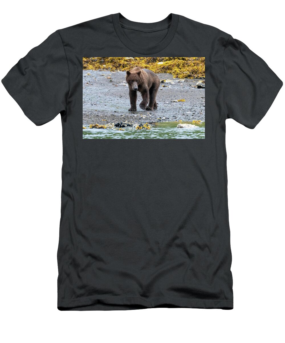 Bear T-Shirt featuring the photograph Coastal Brown Bear in Kukak Bay Alaska by Mark Hunter