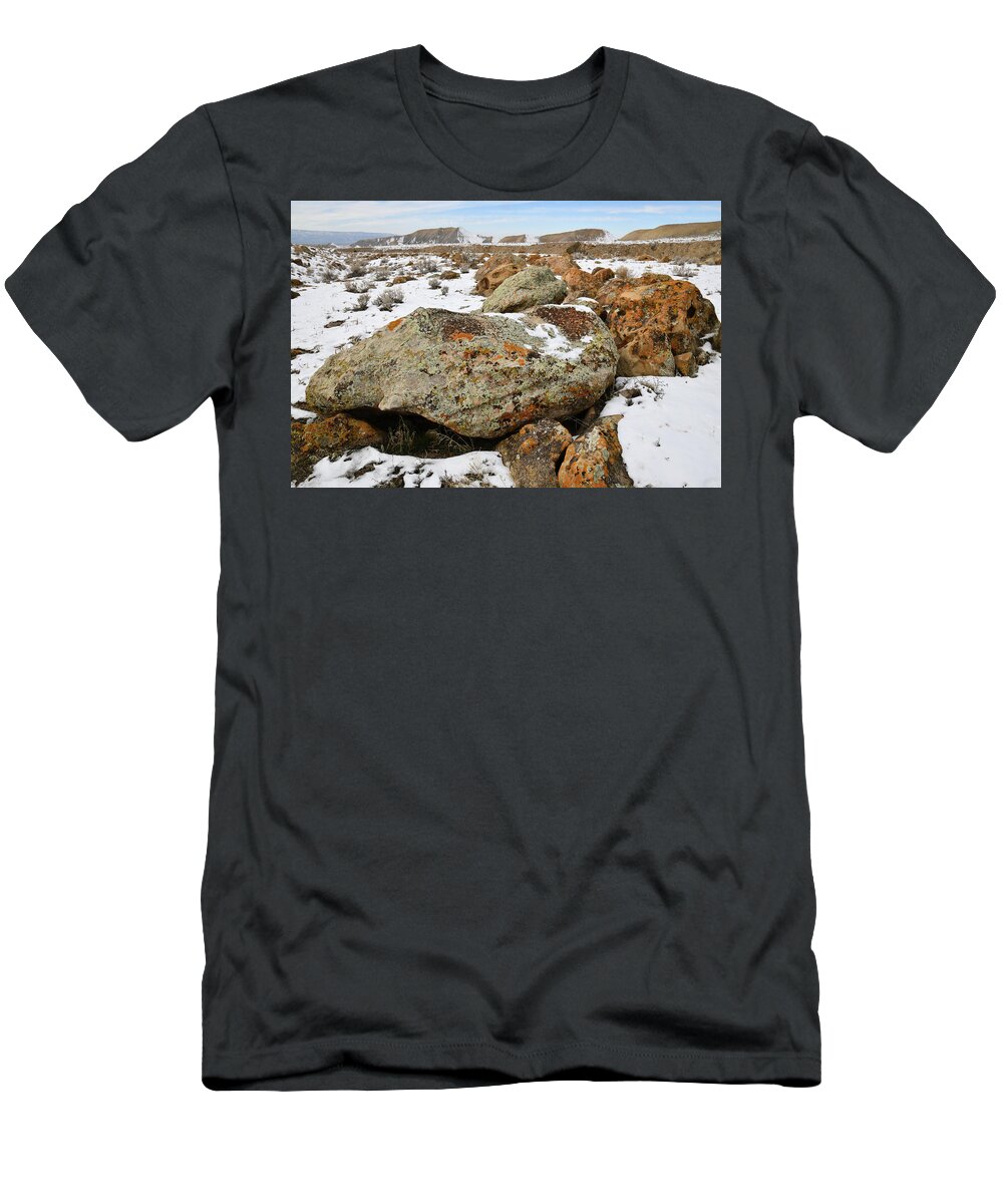 Book Cliffs T-Shirt featuring the photograph Color in the Book Cliff Desert by Ray Mathis