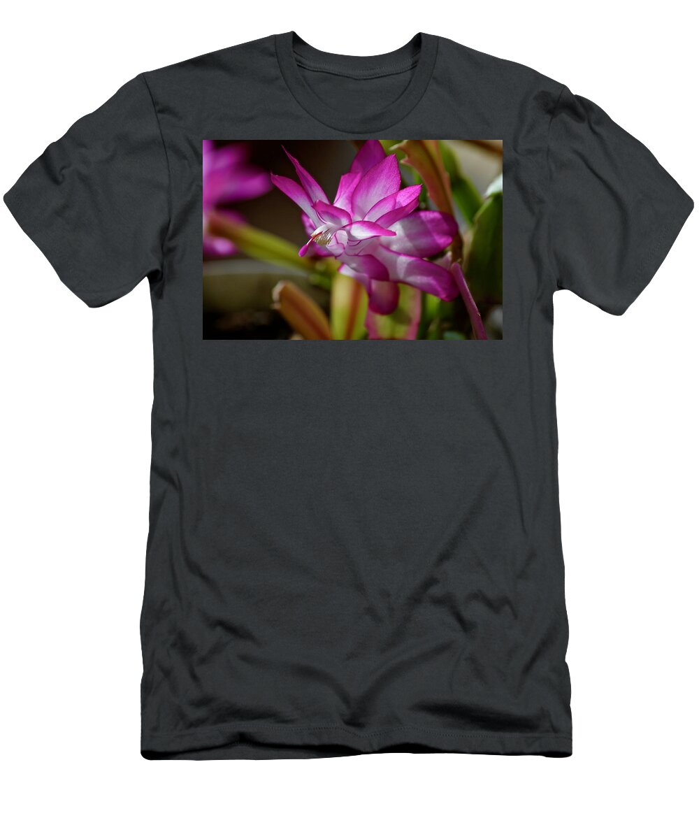 Flower T-Shirt featuring the photograph Color in Winter by Hella Buchheim