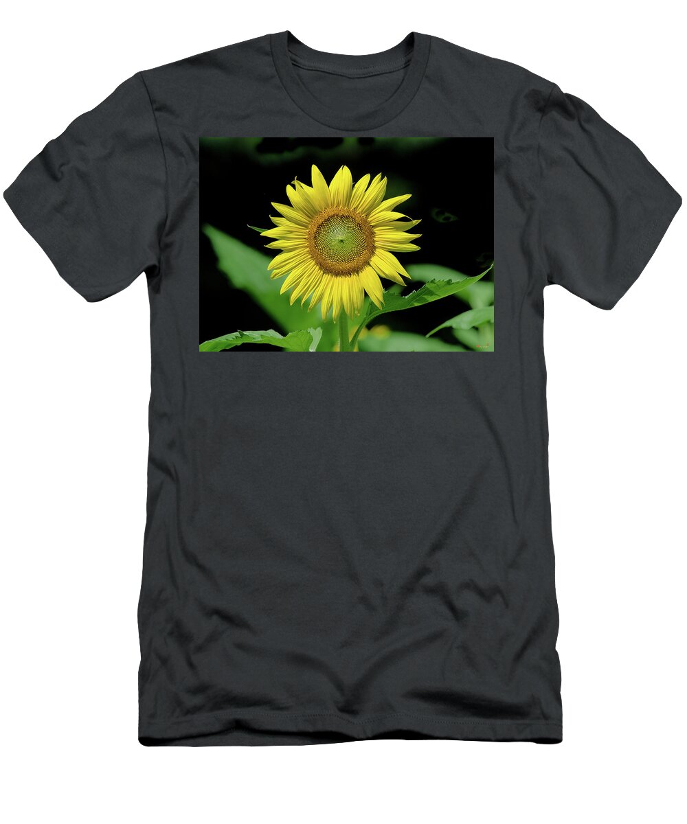 Nature T-Shirt featuring the photograph Common Sunflower DFL0982 by Gerry Gantt