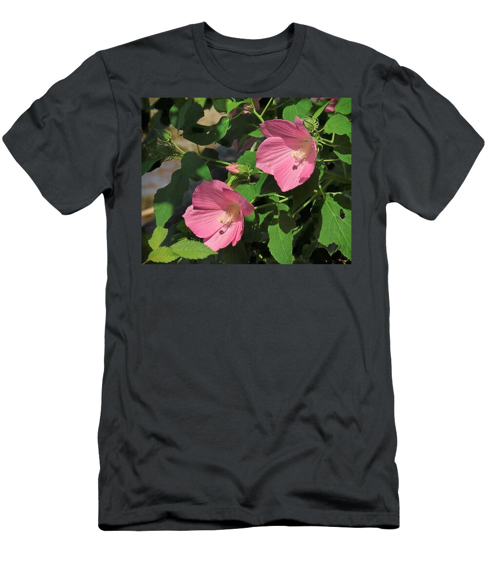 Nature T-Shirt featuring the photograph Crimson-eyed Rosemallows DSMF0110 by Gerry Gantt