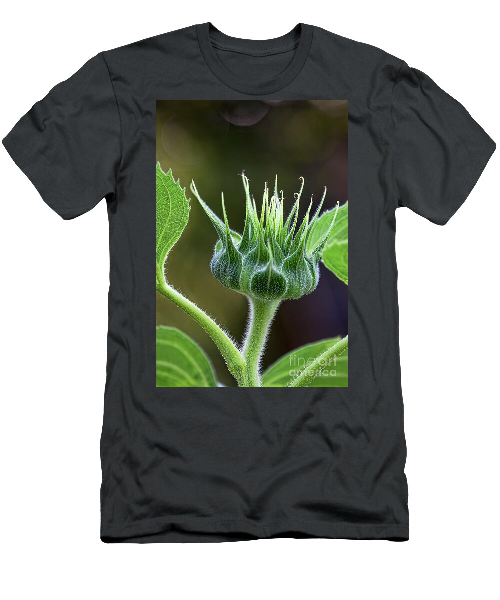 Sunflower T-Shirt featuring the photograph Crowned Princess by Joan Bertucci