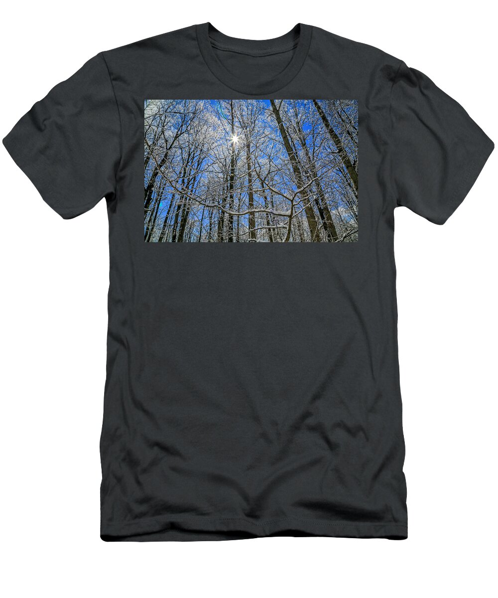 Sunshine T-Shirt featuring the photograph Crystal Palace by Dale R Carlson