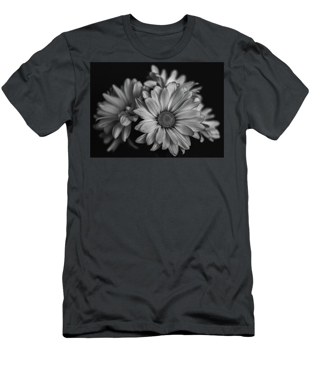  T-Shirt featuring the photograph Daisies by Laura Terriere