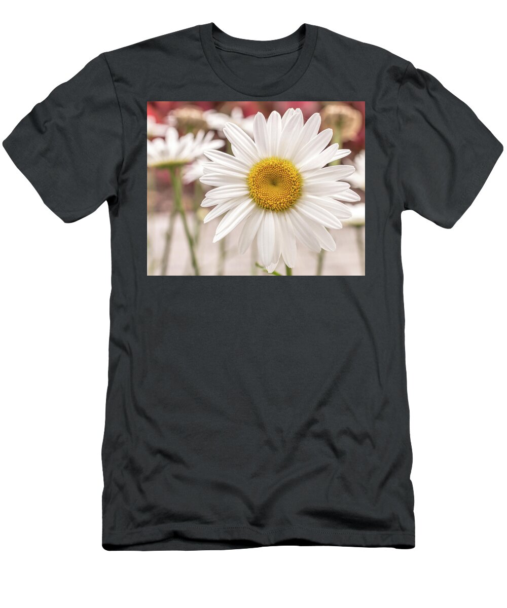 Daisy T-Shirt featuring the photograph Daisy by Dorothy Cunningham